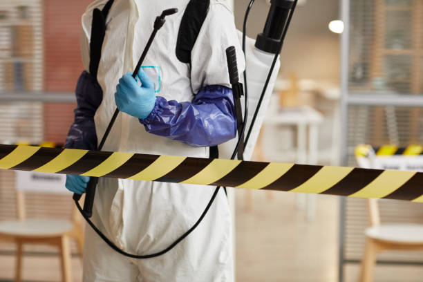 Professional Hoarding Cleanup technician working in Sunapee, NH